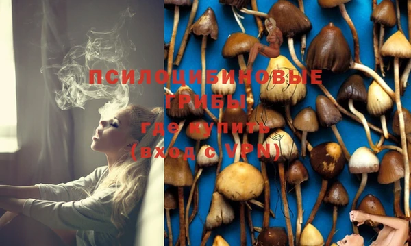 прущая мука Осташков