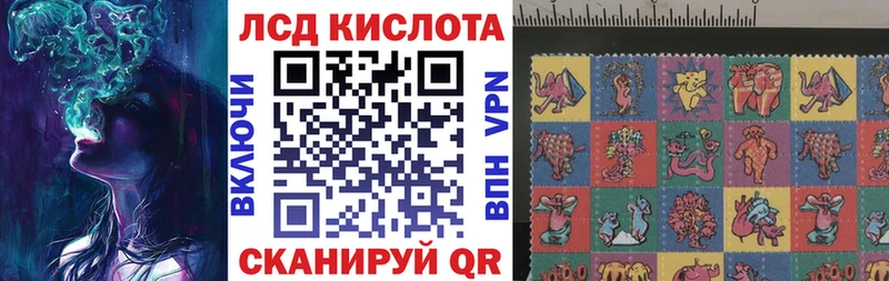 как найти закладки  Райчихинск  Марки NBOMe 1,8мг 