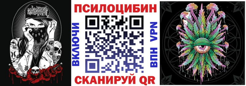 Псилоцибиновые грибы Psilocybine cubensis  где найти   Райчихинск 